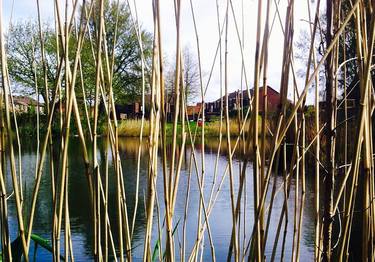 Leiden landscape Nederland thumb