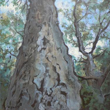 Original Nature Paintings by Leigh Buchanan