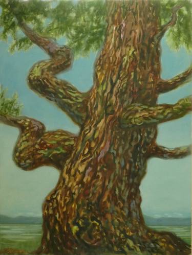 Original Fine Art Tree Paintings by Leigh Buchanan