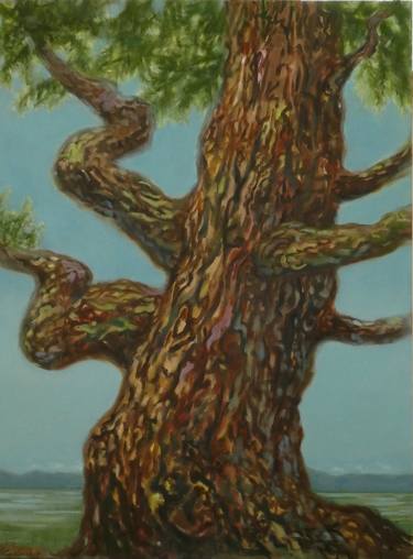 Original Fine Art Tree Paintings by Leigh Buchanan