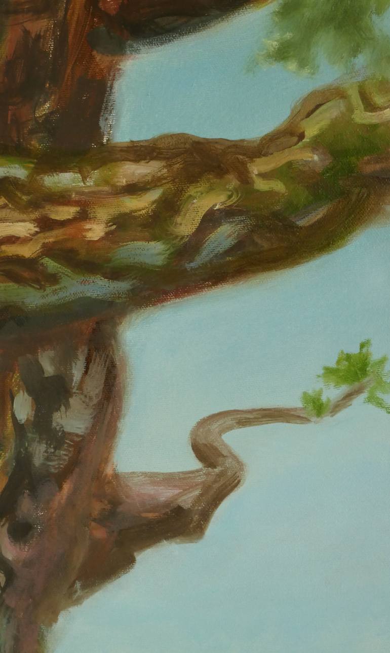 Original Contemporary Landscape Painting by Leigh Buchanan