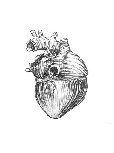 Heart ll. thumb