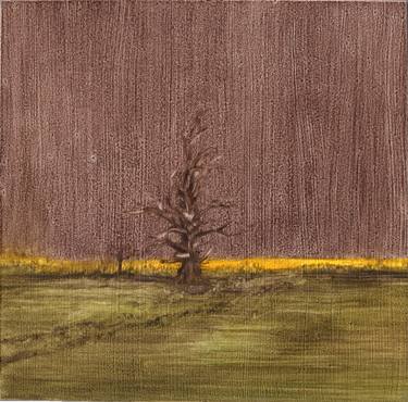 lone old tree in the filed of rapeseed thumb