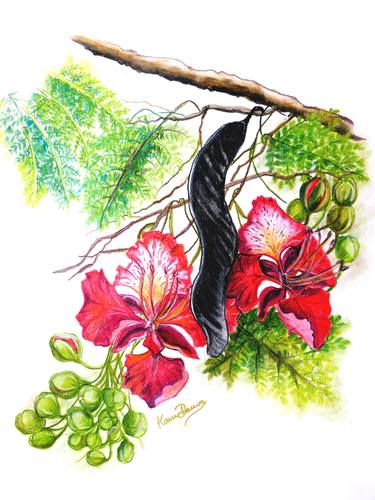Print of Realism Floral Drawings by KARIN BEST