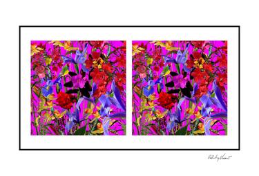 Original Contemporary Botanic Printmaking by Peter Vaccino