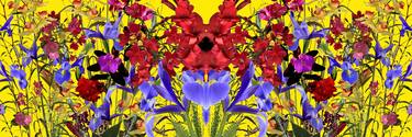 Original Fine Art Floral Photography by Peter Vaccino