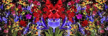 Original Abstract Floral Photography by Peter Vaccino