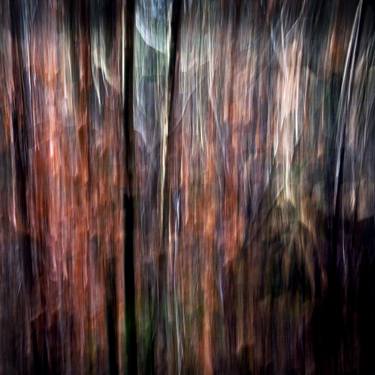 Original Abstract Photography by Marco Visch
