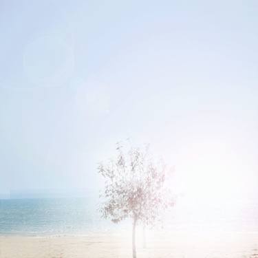 Original Conceptual Seascape Photography by Angelo Zzaven
