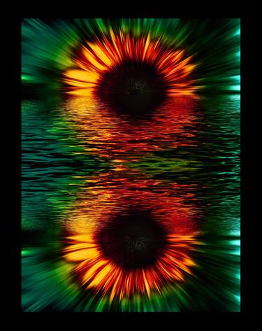 Original Abstract Floral Photography by Lloyd Goldstein