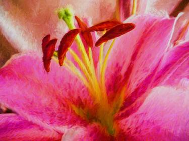 Original Fine Art Floral Photography by Lloyd Goldstein