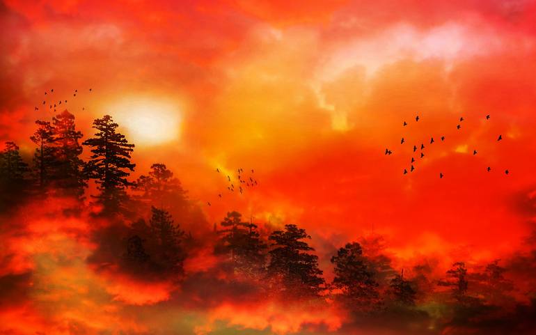 View in a Room Artwork