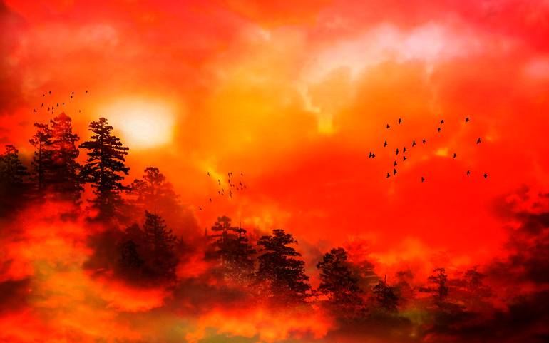 View in a Room Artwork