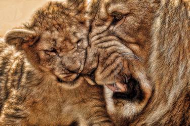 Lion And Cub thumb