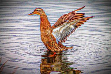 Print of Photorealism Animal Photography by Lloyd Goldstein