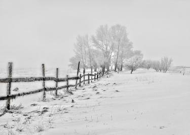 Print of Fine Art Seasons Photography by Lloyd Goldstein