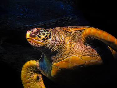 Print of Animal Photography by Lloyd Goldstein