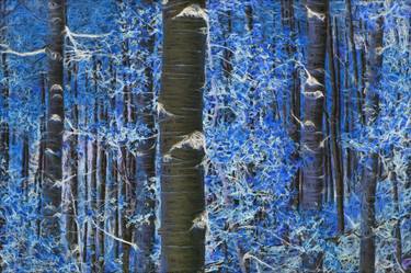 Aspen Trees At Night thumb