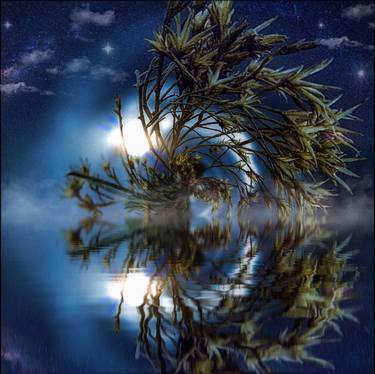 Original Abstract Expressionism Abstract Photography by Lloyd Goldstein