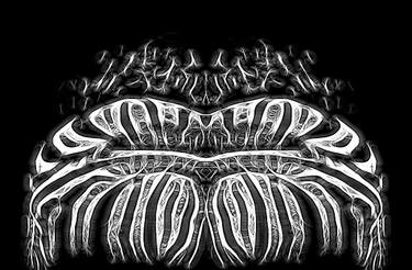 Original Abstract Expressionism Abstract Photography by Lloyd Goldstein