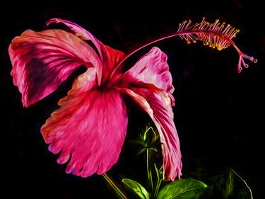 Original Fine Art Floral Photography by Lloyd Goldstein