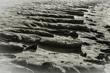 Print of Beach Photography by Lloyd Goldstein