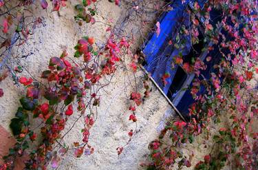 Print of Minimalism Wall Photography by Vassilis Tagoudis