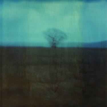 Print of Figurative Landscape Photography by Nicolas Poizot