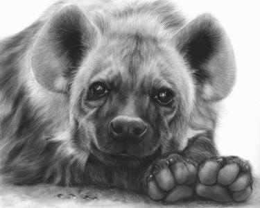 Adorable Hyena thumb