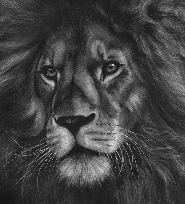 Original Black & White Animal Painting by Danguole Serstinskaja