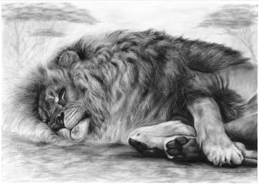 Resting Lion thumb