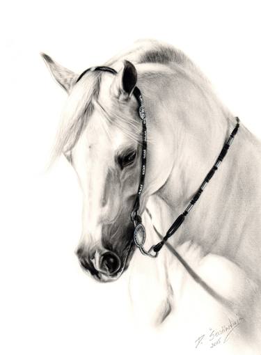 Print of Photorealism Horse Paintings by Danguole Serstinskaja