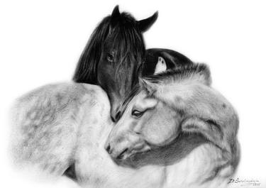Print of Photorealism Horse Paintings by Danguole Serstinskaja