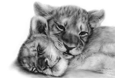 Lion Cubs thumb