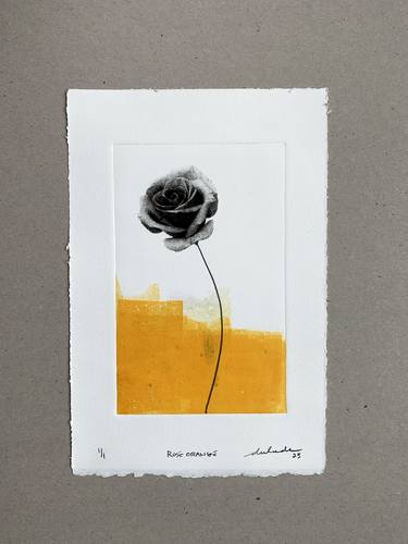 Original Floral Printmaking by Denis Dulude
