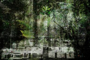 Forest #33 thumb