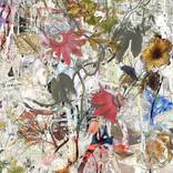 Collection Digital Painting