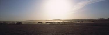 Original Documentary Horse Photography by Pierre Choinière