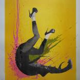 Collection Hand pulled limited Edition Screen Prints