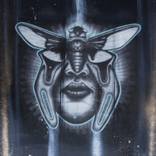 Collection Hand pulled limited Edition Screen Prints