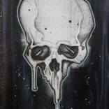 Collection Hand pulled limited Edition Screen Prints