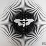 Collection Changing Thoughts - Third Skydive Art and Freefall painting project
