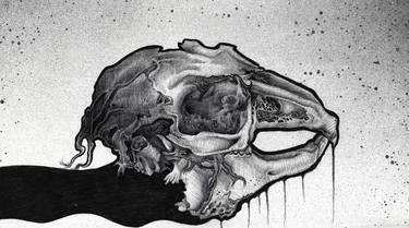 Hare Skull | Skull Art Drawing | Rabbit Skull | Animal Bones thumb