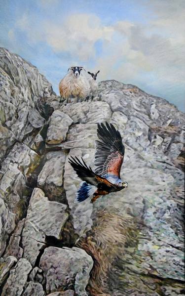 Saatchi Art Artist Dennis McCallum; Paintings, “Scottish Golden Eagle” #art