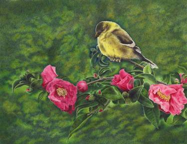 Print of Realism Nature Drawings by Richard Devine