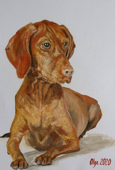 Original Fine Art Dogs Paintings by Olga Sharp