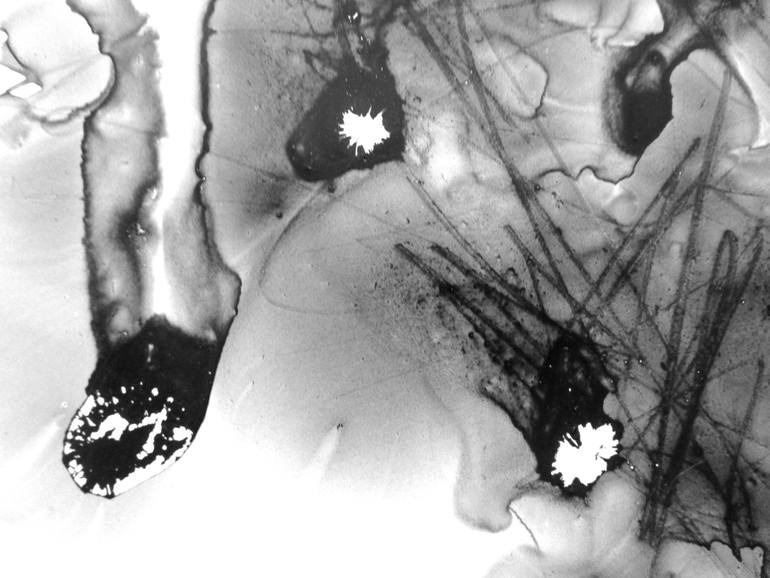 Original Expressionism Abstract Painting by Anne Borchardt