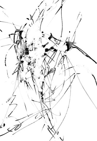 Original Expressionism Abstract Drawings by ANNE BORCHARDT