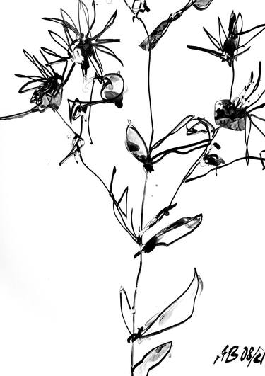 Original Abstract Floral Drawings by ANNE BORCHARDT