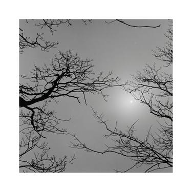 Original Black & White Nature Photography by Paul Christener